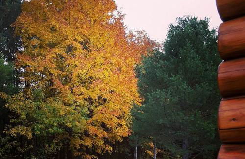 Superb Log Cabin Rental for Groups near Munising and Pictured Rocks National Lakeshore, Michigan - Foto 9