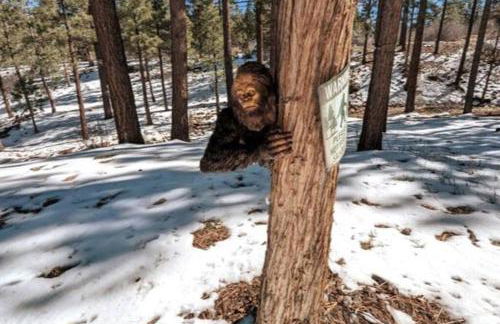 Bel Air of Big Bear - Fun & Tech & Massive Cabin - Foto 4