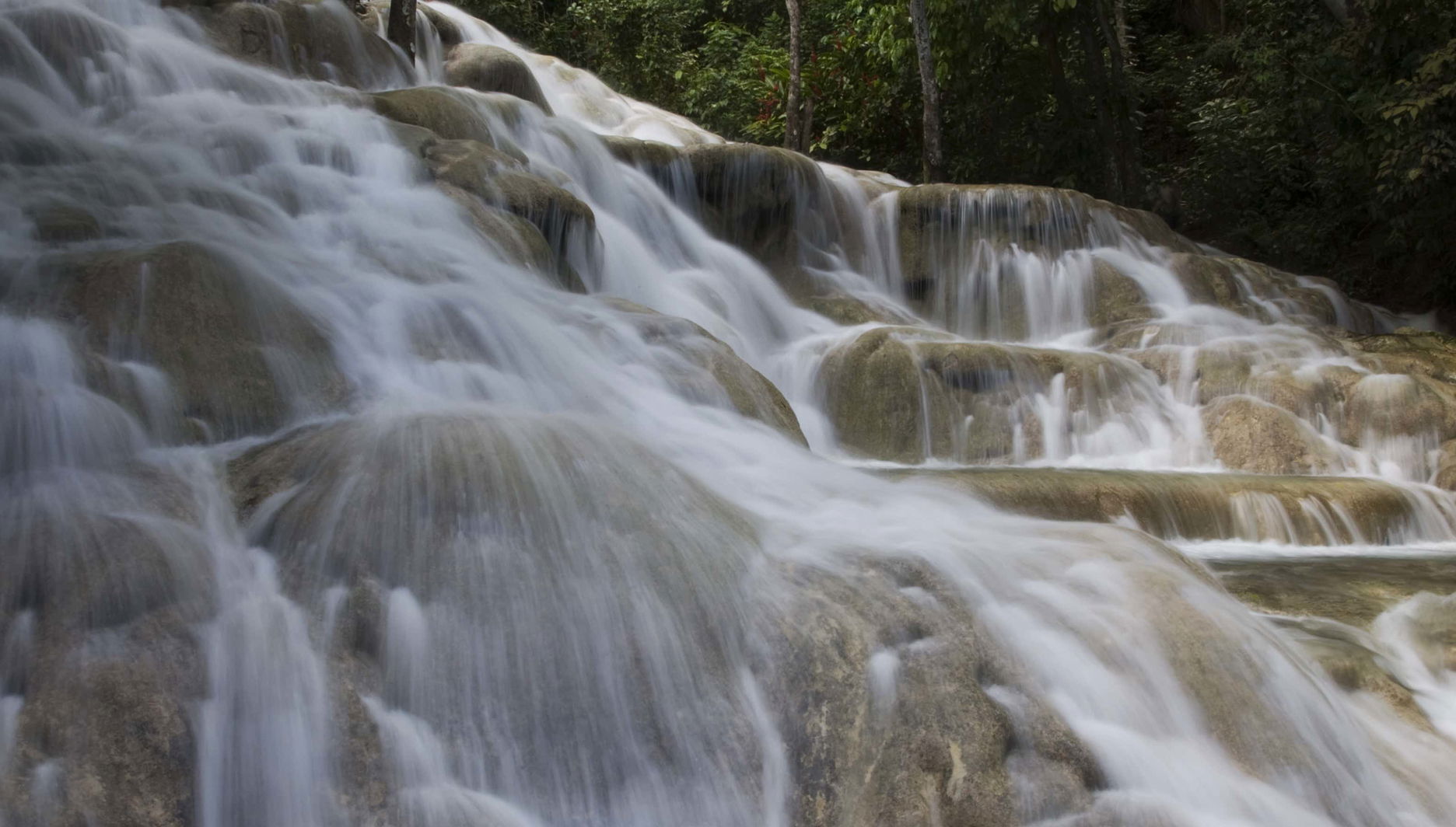 Dunn's River Falls Day Trip