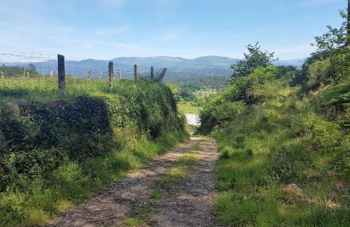 O Eido de Celia - Foto 52