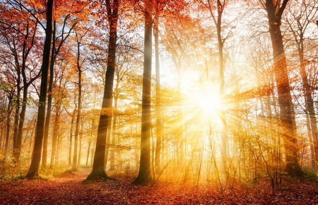 Getaway With Garden in Gelderland - Foto 34