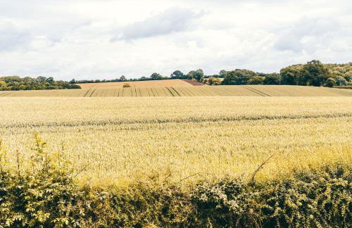 Shepherd's Cottage - Foto 23