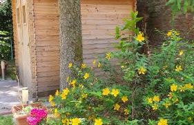 BeatrixHome Oasi verde in città - Foto 9