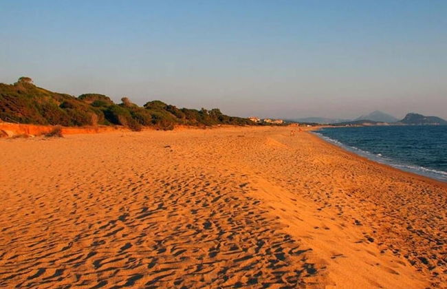 Seaview Flat In An Olive Grove By The Beach - Foto 17