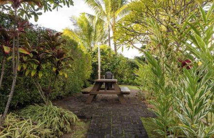 Kauai Plantation Hale Hotel - Foto 36