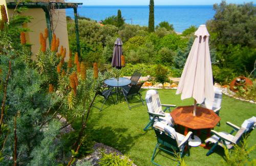 Argo Studios - Foto 6