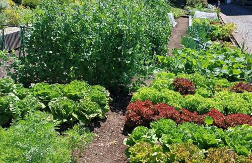 Holiday home Corinna - Foto 12