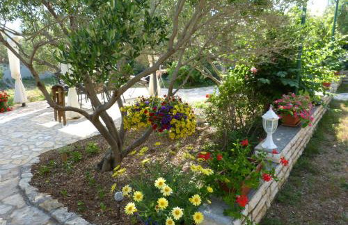 Apartmani Milena - Foto 51