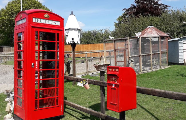 Ruby Shepherds hut Sleeps 4 - Photo 21
