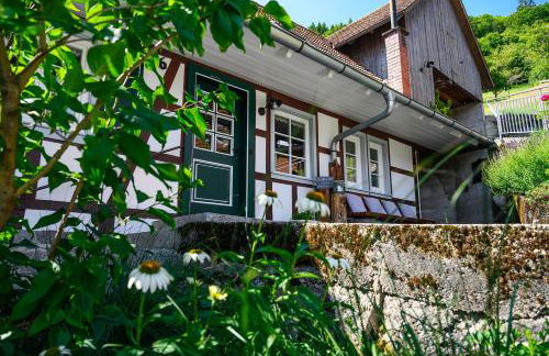 Ferienhaus Ottenhöfen - Sauna | Hot Tub - Foto 36