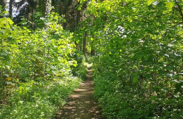 Im Herzen des Kraichgaus 2 - Foto 48