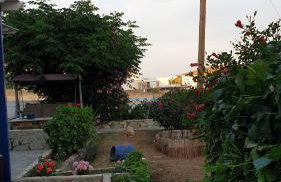 Galazio Kyma - Foto 7