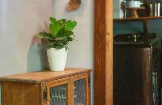 Private Riverfront Cabin, Kayaks, Ping Pong, Gym - Foto 21