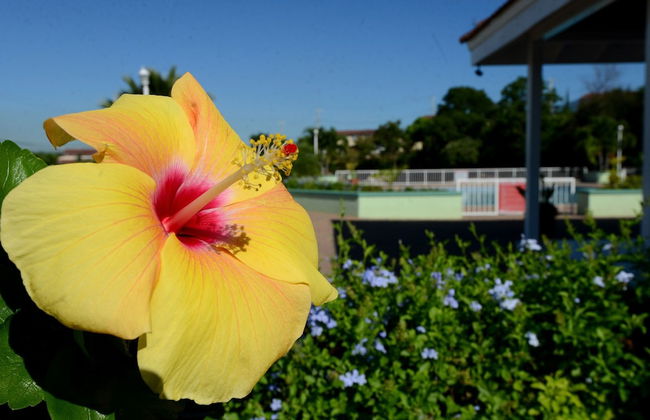 The Cabin at Long Mountain Country Club - Foto 31