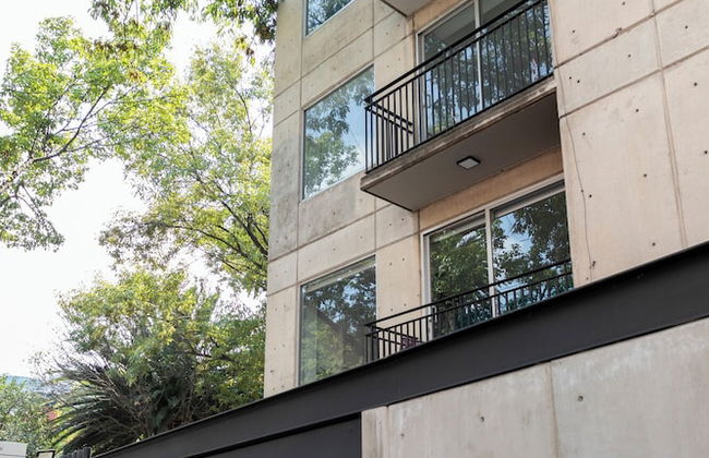 Capitalia Anzures Polanco - Foto 68