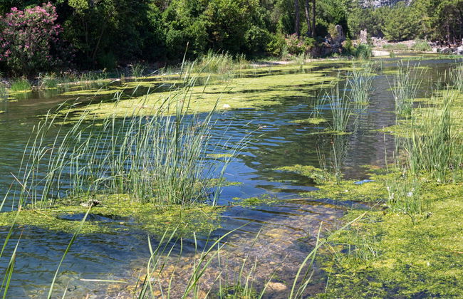 Excursão a Ulupinar + Teleférico Olympos - Foto 2
