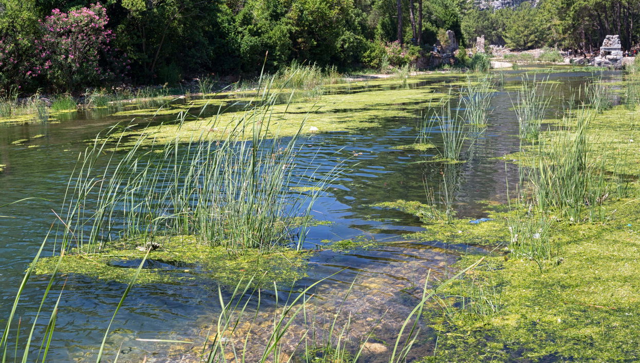 Ulupinar & Olympos Cable Car Tour - Foto 2