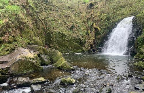 The Burrow - Foto 28