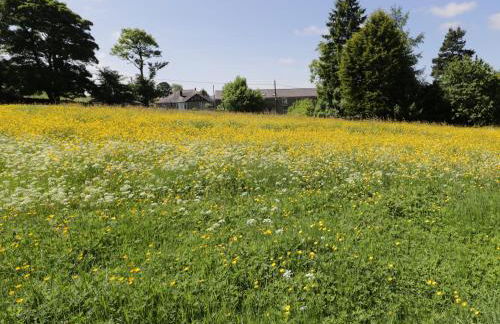 Buttercup Cottage - Foto 20