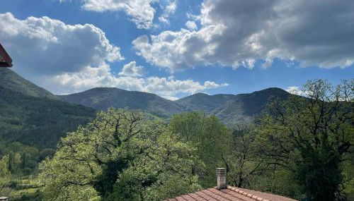 Cuore Verde - Foto 1