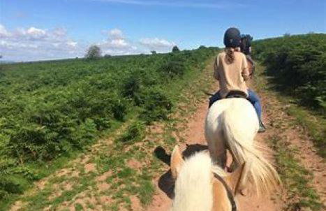 Farm Elegance at Lottie's Lodge - Foto 37