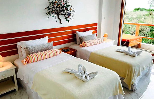 Blue Heron Galapagos Villa - Photo 6