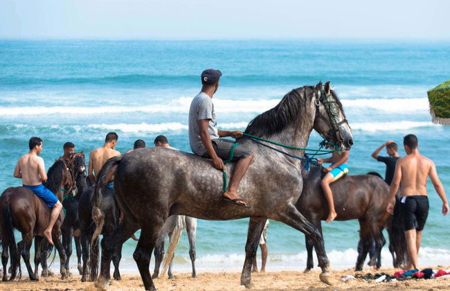 Balade à cheval dans la baie Drake - Photo 2