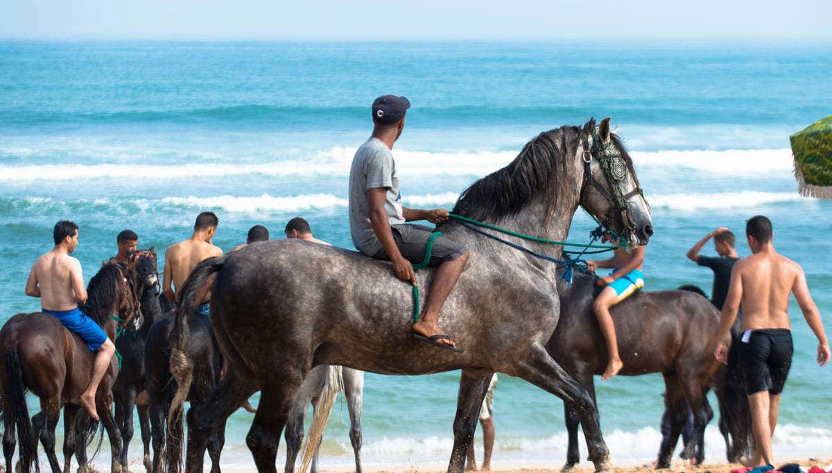 Enjoying the horse ride