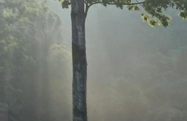 The Gemini-a dreamy, waterfront tiny cabin - Foto 69