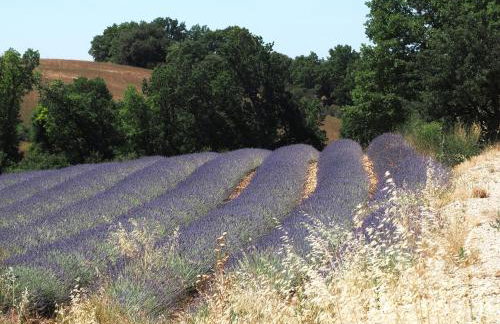 Une Heure Bleue - Foto 20