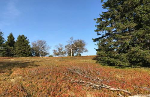 Welcome Home + Terrasse - Photo 16