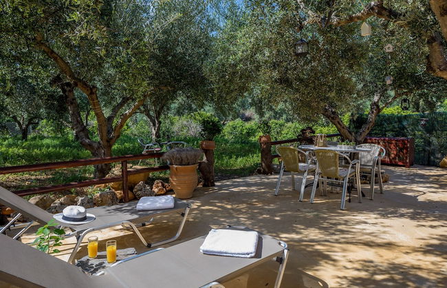 The Olive House - Photo 31