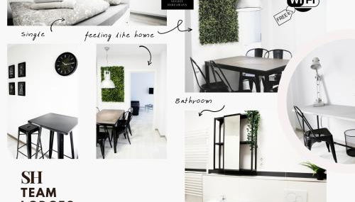 SH Team Lodges 4 Apartments für max 19 Personen l Monteure l Messe l Business - Foto 2