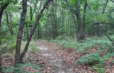 Cabin 9 ~ Toronto Lake: Fishing, Swimming & More! 1 Bedroom Cabin by RedAwning - Foto 37