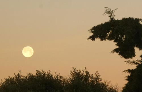 Les Gites du Mont Ventoux - Foto 75