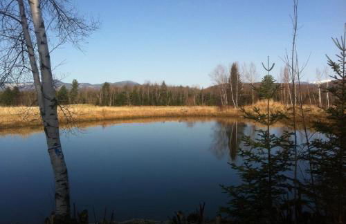 Meadow House Backcountry Residency - Foto 22