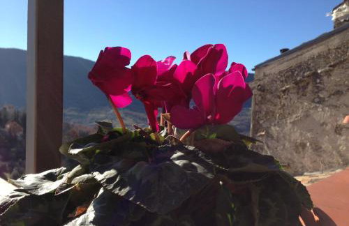 Il borgo 28 - Photo 10