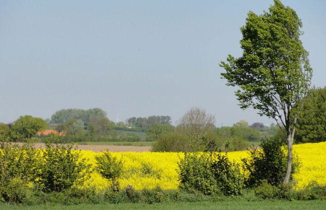 Romantic Thatched Roof House - Foto 54