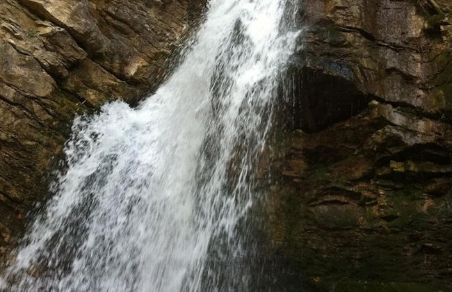 La Cantina del Convento - Photo 19