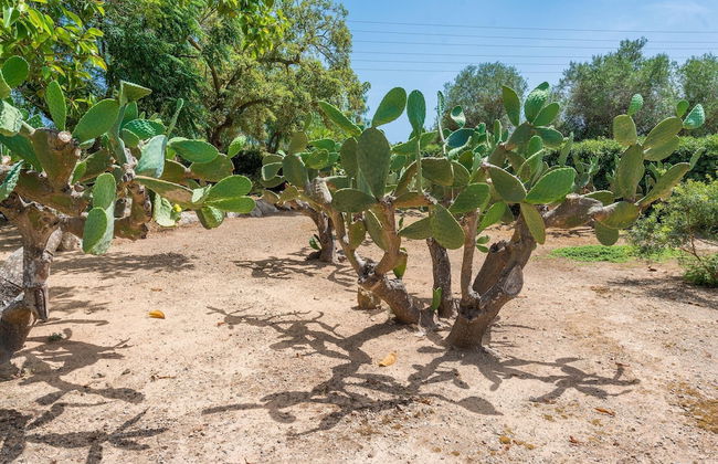 Casa Angela - Villa With Private Pool In Capdepera - Photo 85