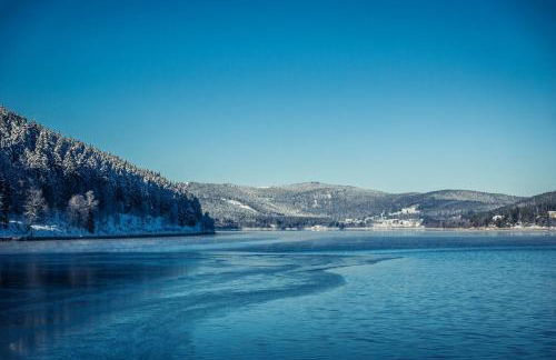 Schwarzwaldglück - Foto 29