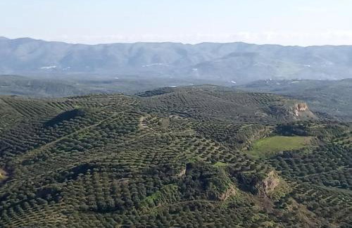 Traditional Creta stone house in serenity village - Foto 76