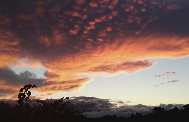 Bright, Modern Loft Comfortable Vacation Home - Foto 30