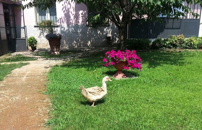 Agriturismo Cascina Madonnina - Photo 39