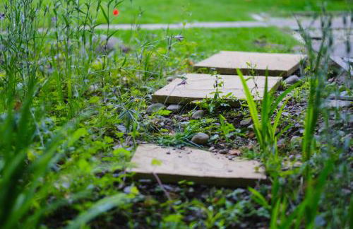 Tig Cottage - a rural, quirky, pet friendly 2 bedroom cottage near Ballantrae - Foto 38