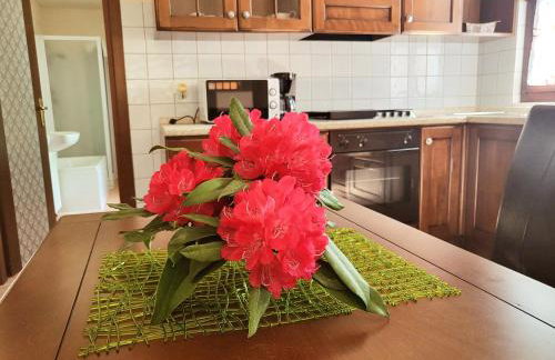 Mid of Nature ' Bella Vista Lago Maggiore charmant mit traumhaften Seeblick, Terrasse und großen Garten - Foto 53