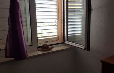 Sobe Stanković - Foto 43