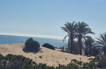 Alma&Mateo - Foto 38