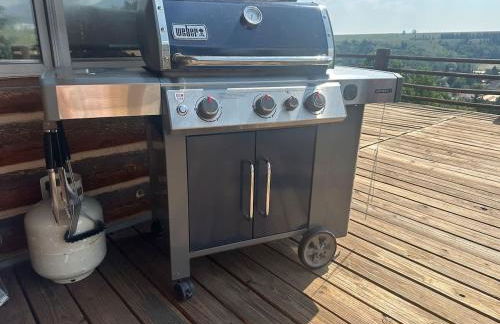 Spruce Lodge - Photo 54