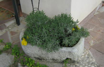 La Residence da Caterina - Photo 16